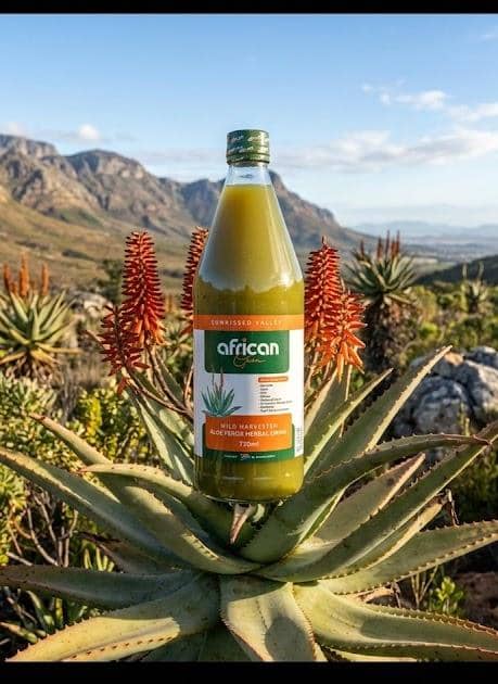 A 750ml bottle of African Gem Aloe Ferox Herbal Drink standing on the crown of a flowering wild aloe, Cape mountains behind it